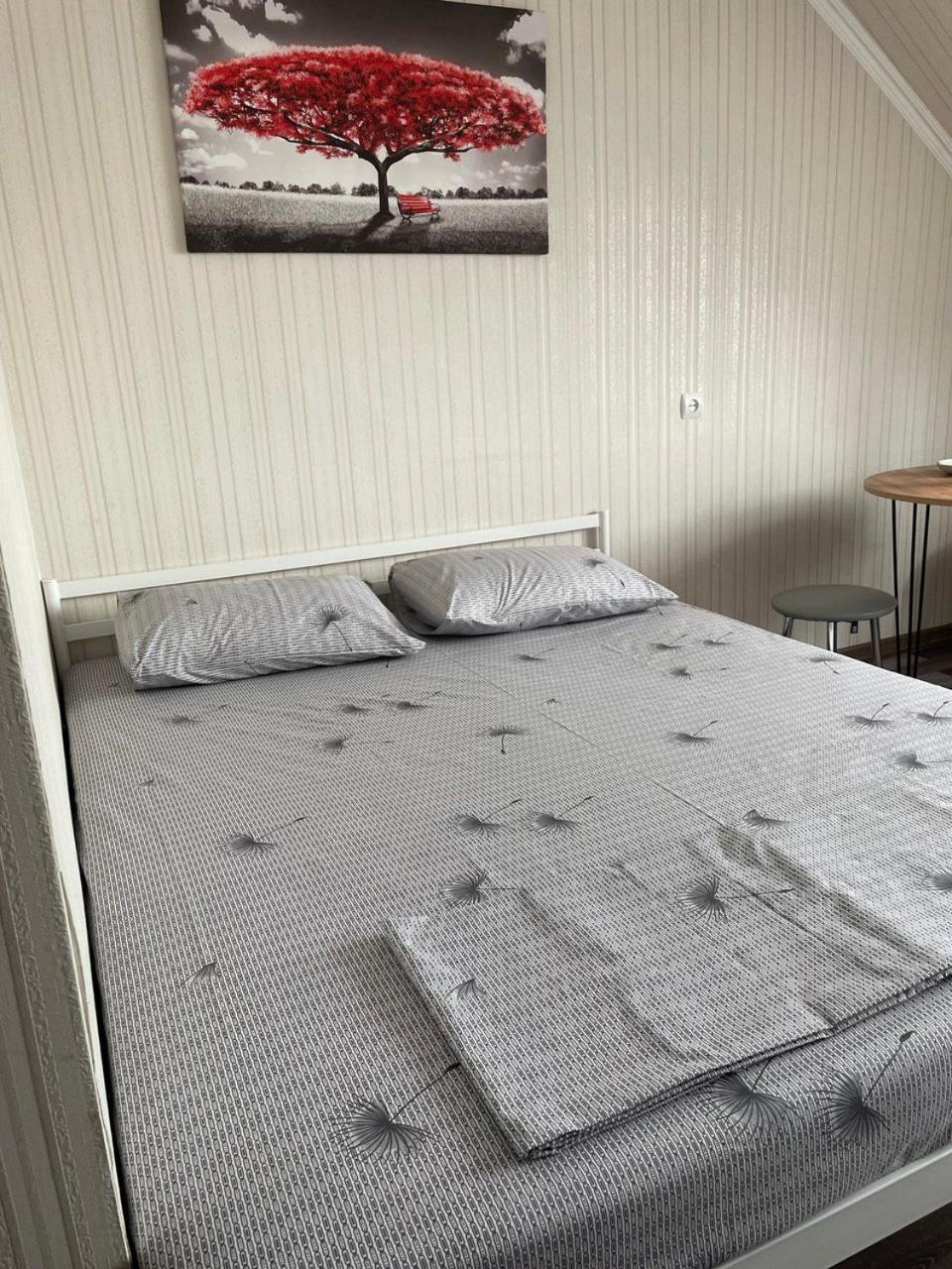 Vip Hostel Mukatjevo Eksteriør billede